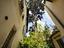 Immagine 9