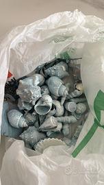 Vari tipi di conchiglie