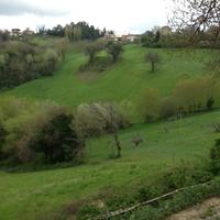 Terreno agricolo