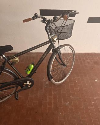 Bicicletta Coppi Elegance