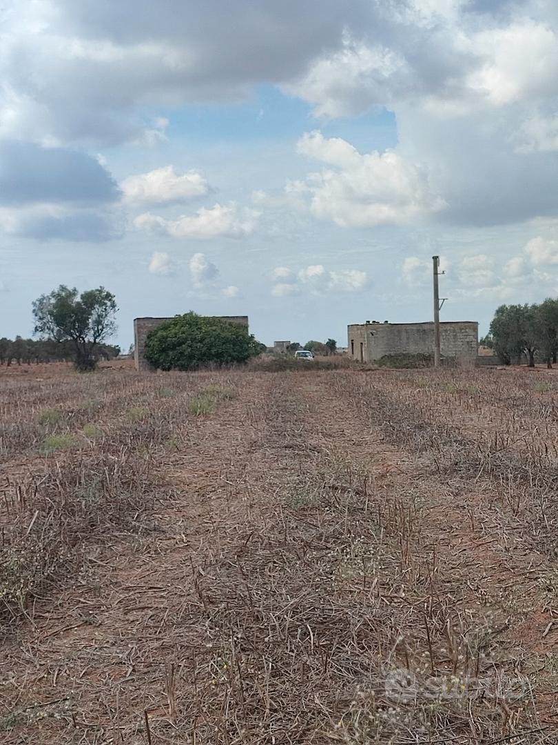 Terreno e rudere - Vista 4