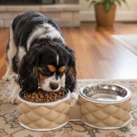 Portaciotole Personalizzati per cane e gatto