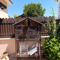 voliera per pappagalli 