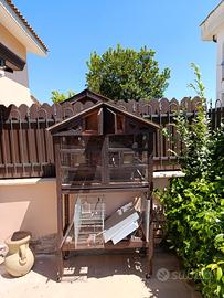 voliera per pappagalli 