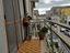 Immagine 13