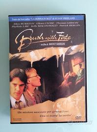 DVD Film Il destino nel dipinto (Brush with fate)