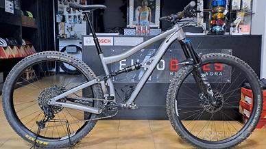 IBIS RIPLEY