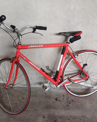 Bicicletta vintage da strada / corsa Rauler