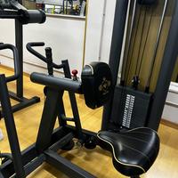 Rowing Machine Panatta 1SC004