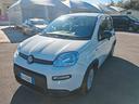 fiat-panda-1-0-firefly-s-s-hybrid-la-pandina