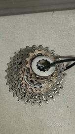Pignone Shimano dura ace  10V