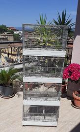 gabbia per uccelli 