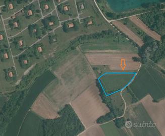 Terreno agricolo recintato