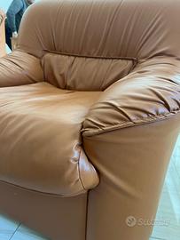 Poltrone in vera pelle