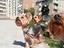 Immagine 5