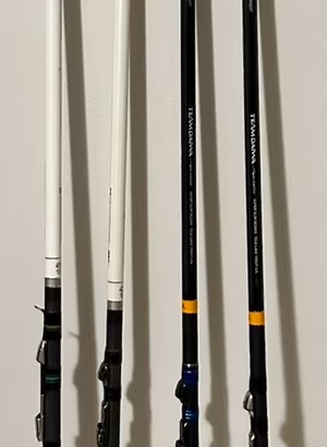 Canne trota lago Daiwa