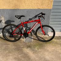 bici taglia 24
