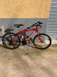 bici taglia 24