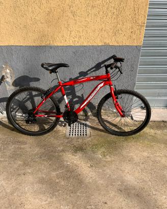 bici taglia 24