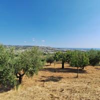 Terreno agricolo - Colonnella
