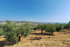 Terreno agricolo - Colonnella