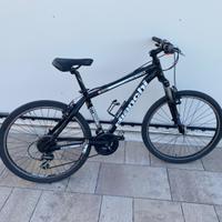 Mtb Bianchi doss 4600