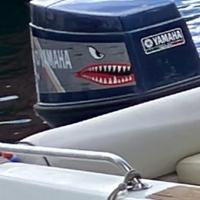 Yamaha 25 ho 3 Cilindri
