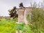 Immagine 28