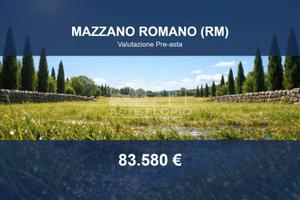 Immobile in asta di 41390 m² a Mazzano Romano