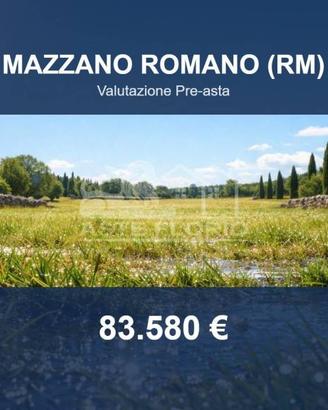 Immobile in asta di 41390 m² a Mazzano Romano