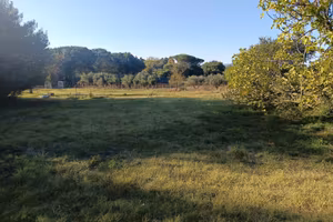Terreno agricolo 4660 mq pozzo luce Vigne Nuove VT