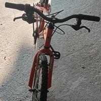 bicicletta da bambino