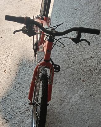 bicicletta da bambino