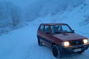 panda 4x4 