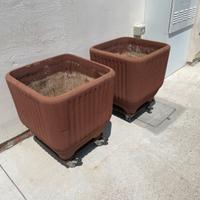 Vasi per fiori o agrumi