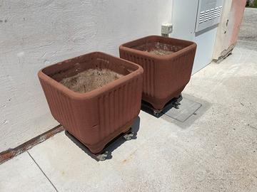 Vasi per fiori o agrumi