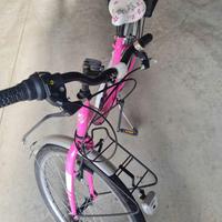 Bicicletta