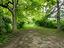 Immagine 25