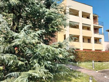 Appartamento arredato a Biassono