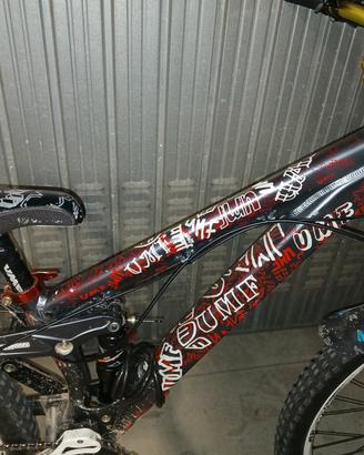 mtb umf cerchio 26 