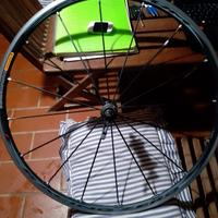 Cerchio anteriore Fulcrum Zero