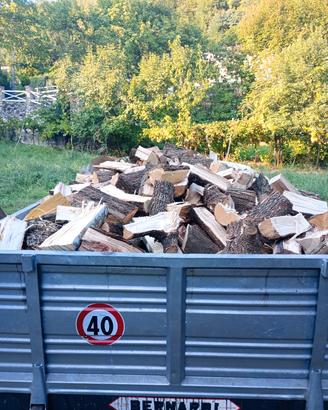 legna mista secca lunga 30 cm