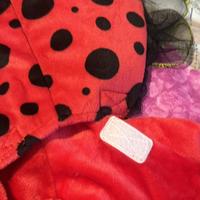 Vestito 12 mesi carnevale coccinella