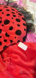 Vestito 12 mesi carnevale coccinella