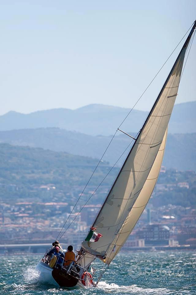 Sciarelli n 24 — Vedi foto 1