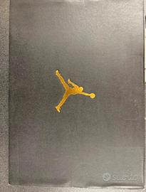 Scarpe Nike Air Jordan Multicolore