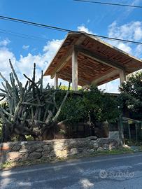 Rustico di villa indipendente