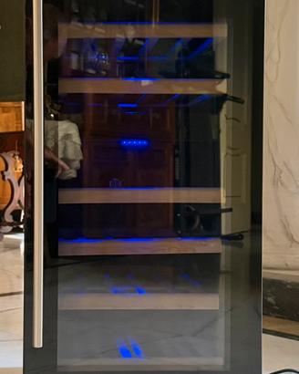 Cantina Frigo vino DATRON x 34 bottiglie bordolesi