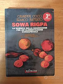 Sowa Rigpa