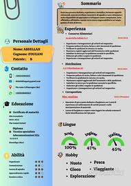 I'm looking for work